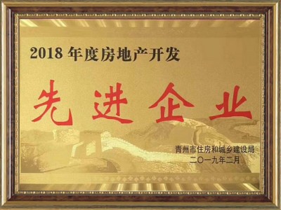 房地產(chǎn)開發(fā)**企業(yè)