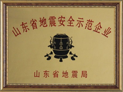 山東省地震安 全示范企業(yè)