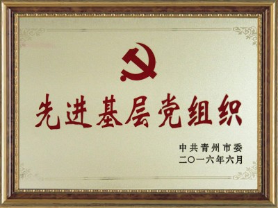 **基層黨組織