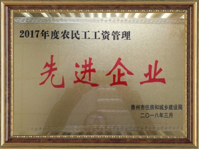 2017年度農(nóng)民工工資管理**企業(yè)