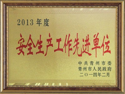 2013年度安 全生產(chǎn)工作**單位