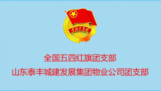 泰豐物業(yè)公司團支部喜獲 國 家 級 表彰！